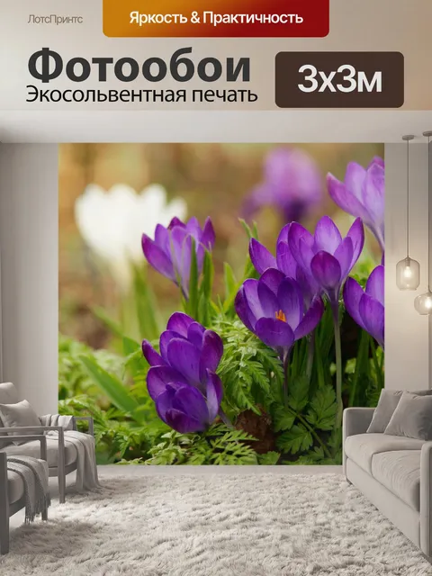 Фотообои Крокусы цветы цветут весна