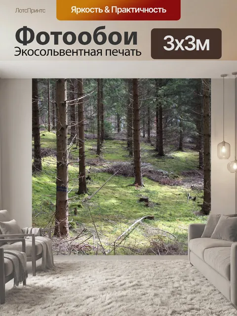 Фотообои Лес