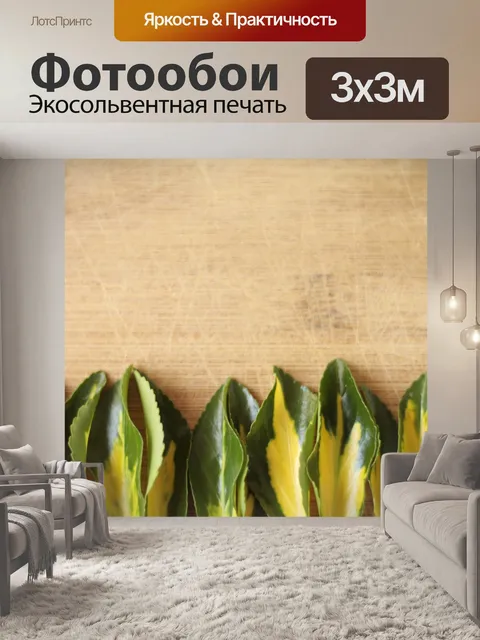 Фотообои Лист