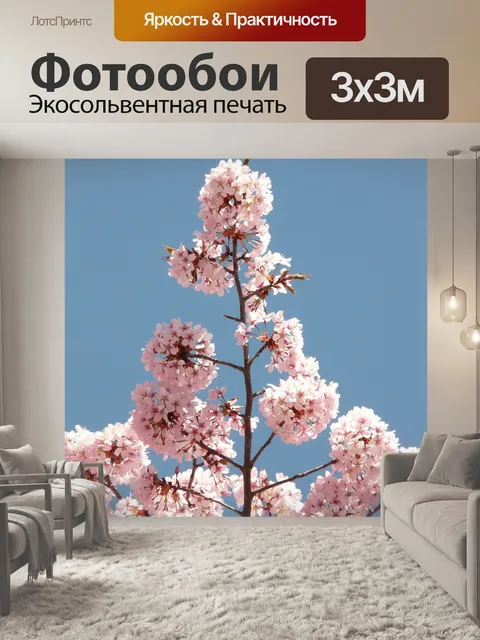 Фотообои Вишня в цвету
