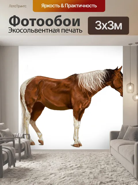 Фотообои Лошадь