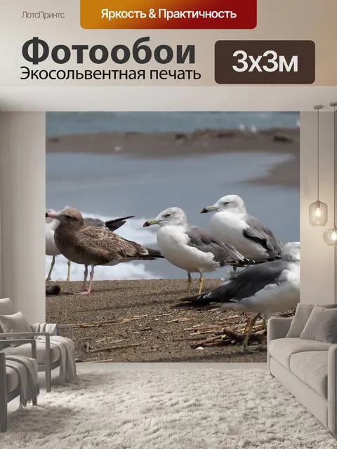 Фотообои Животное