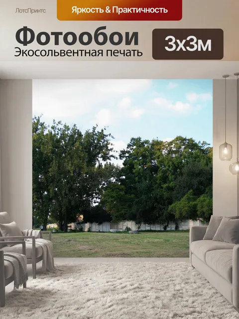 Фотообои парк с деревьями