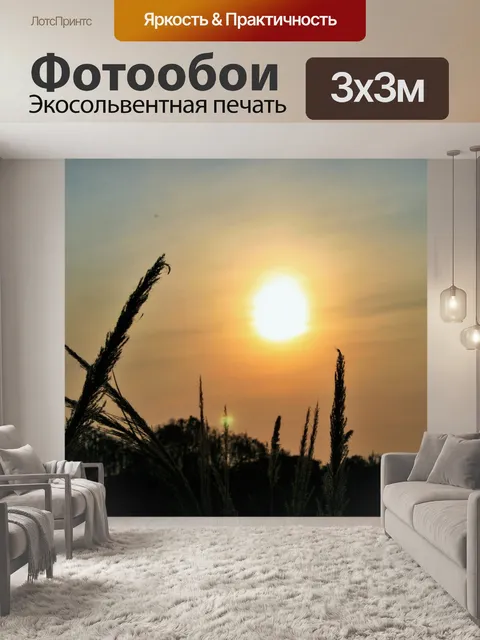 Фотообои закат и бурьян