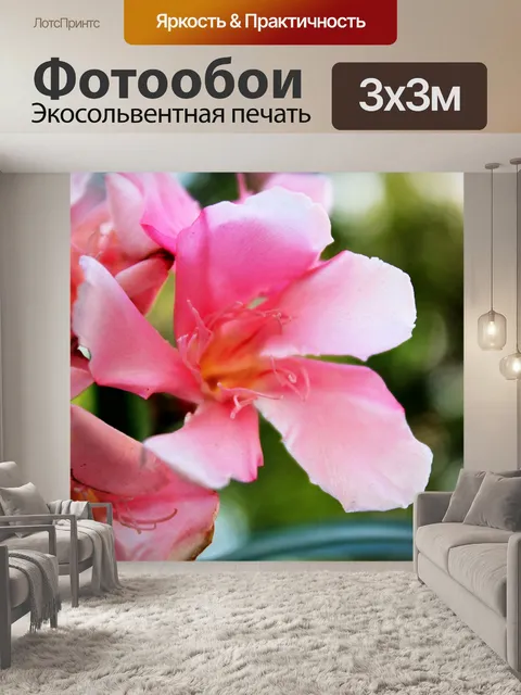 Фотообои Розовые цветы
