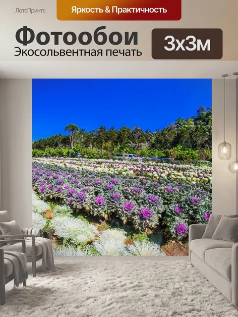 Фотообои Дои Анг Кханг, Чианг Май, Таиланд