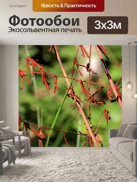 Фотообои Цветы