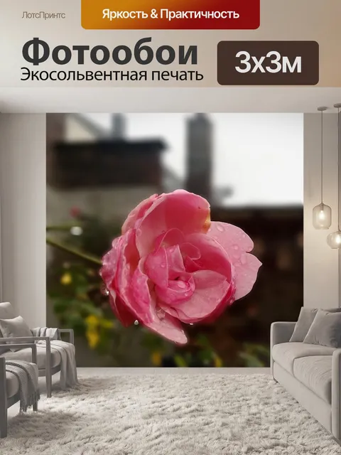 Фотообои Роза