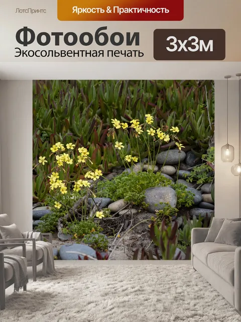 Фотообои Пляжный пейзаж