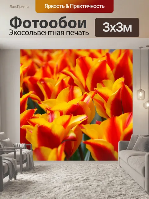 Фотообои Красный