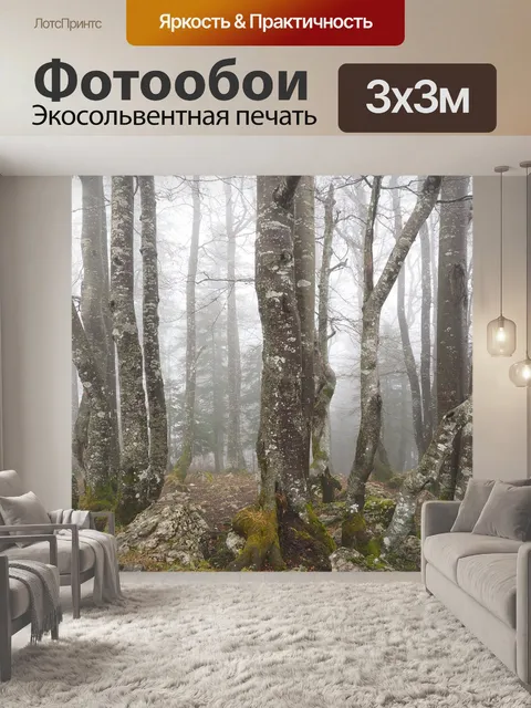 Фотообои Лес