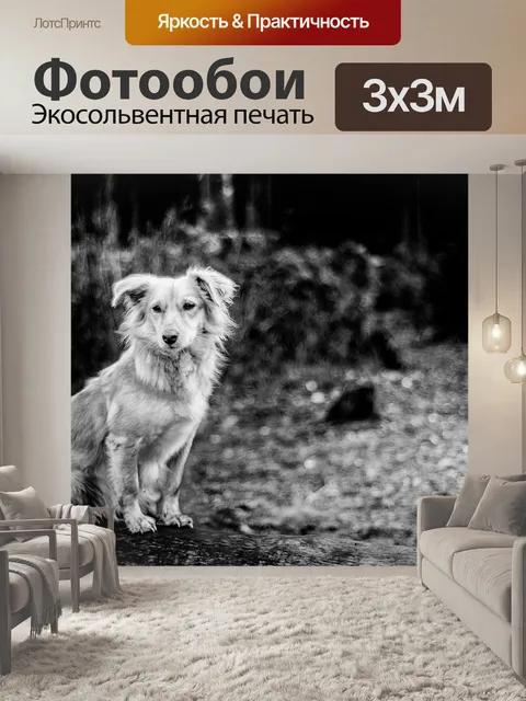 Фотообои Собака