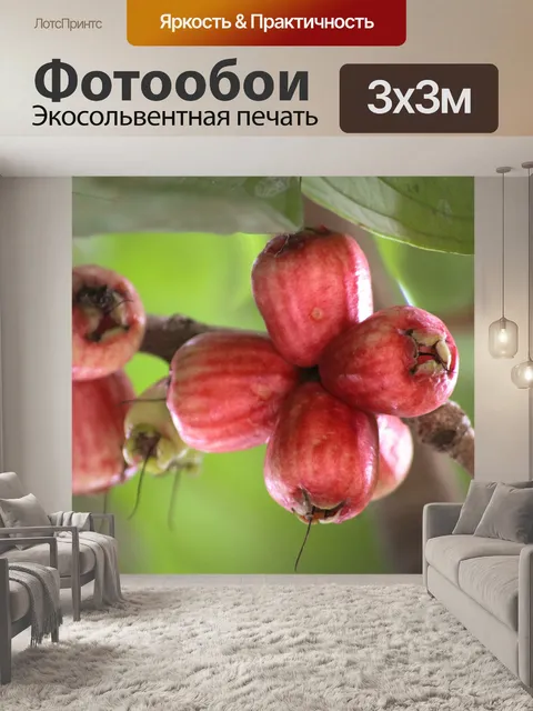 Фотообои Гуава