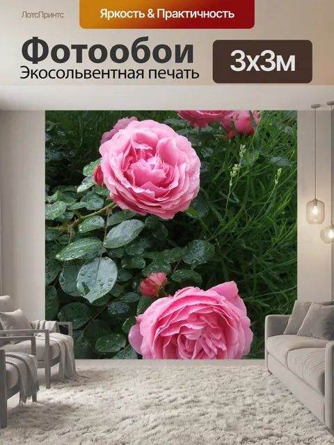 Фотообои Розы