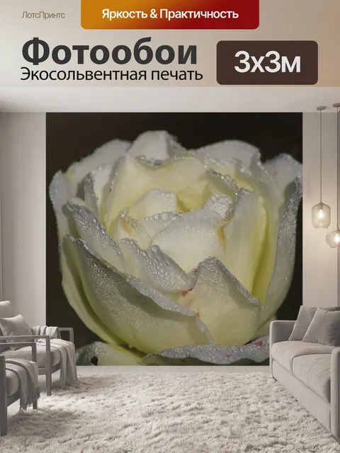 Фотообои Роза