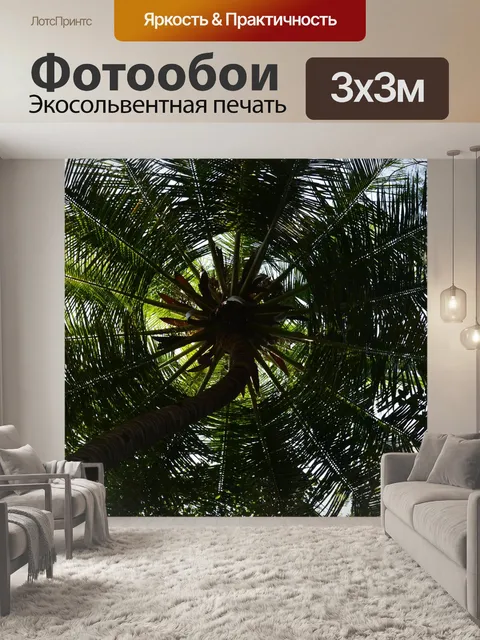 Фотообои Кокосовое дерево
