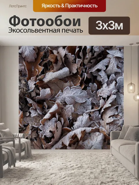 Фотообои Мороз