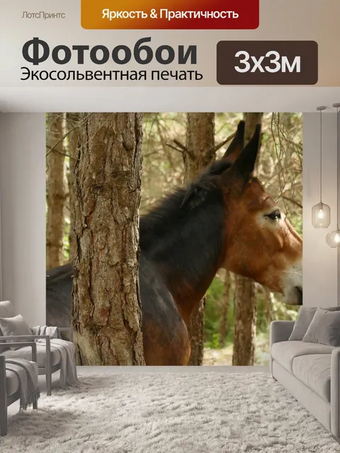 Фотообои Мула в лесу