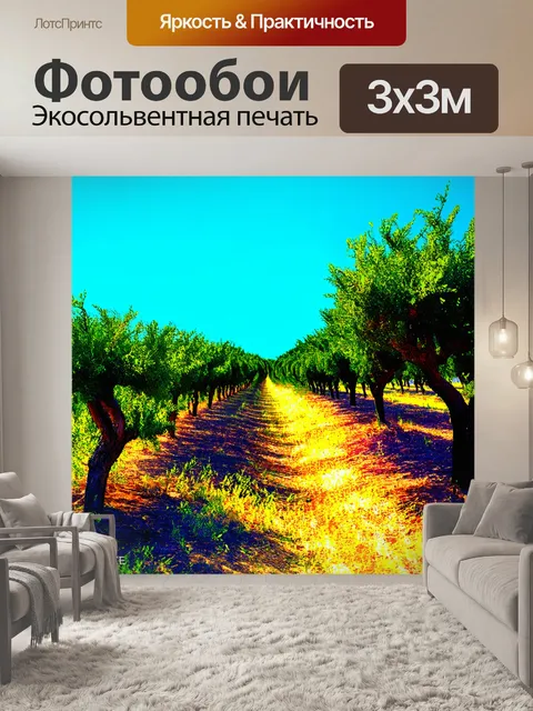 Фотообои " прованс": вид на старинные оливковые рощи с миром, свет заливает участки побережья, резкие тени от деревьев