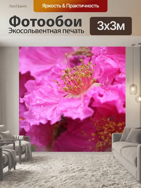 Фотообои Цветы