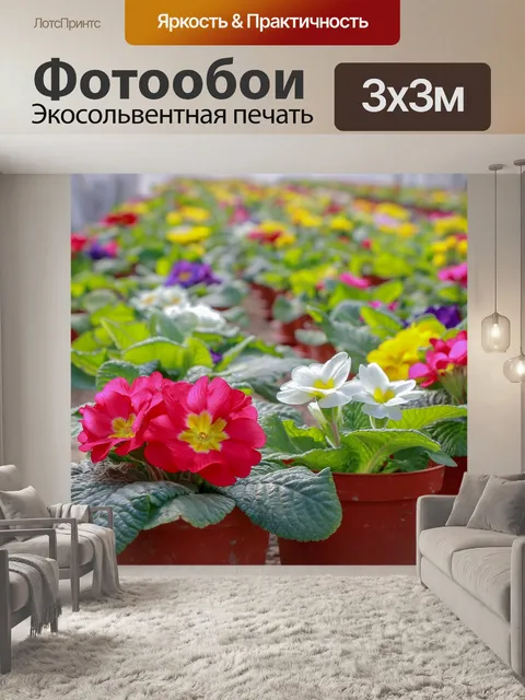 Фотообои Цветы