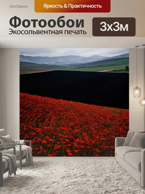 Фотообои долина черных полей с красными цветами, создающая контраст и живость
