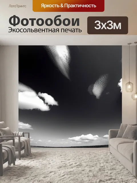 Фотообои пейзаж с небом фото чернобелый