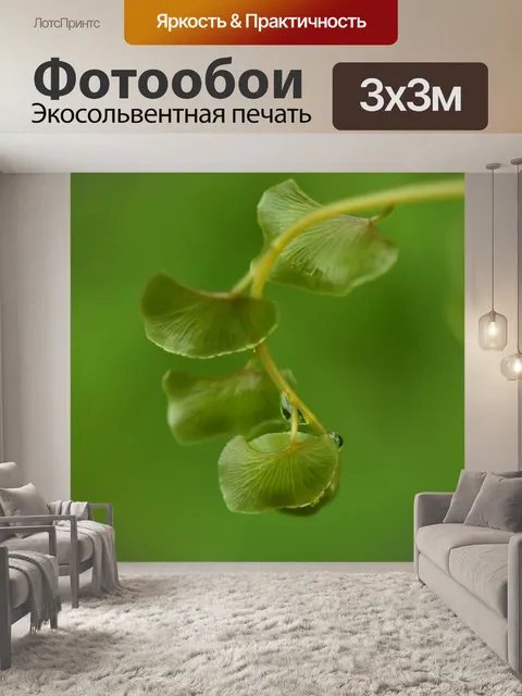 Фотообои Листья папоротника