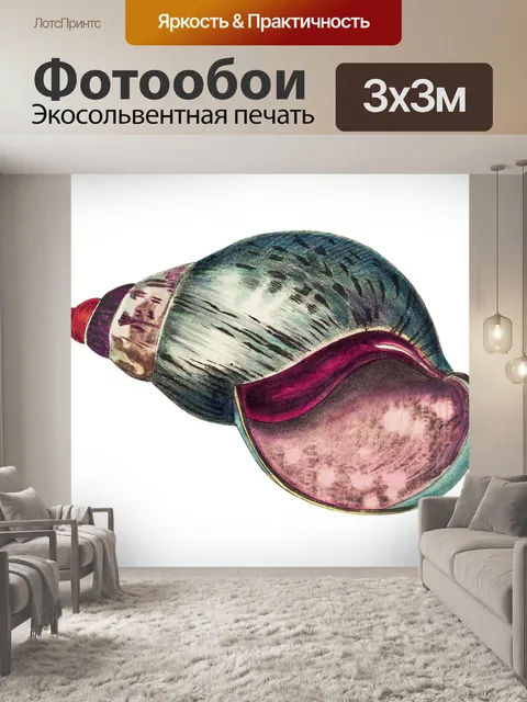 Фотообои Раковина улитка винтажное искусство