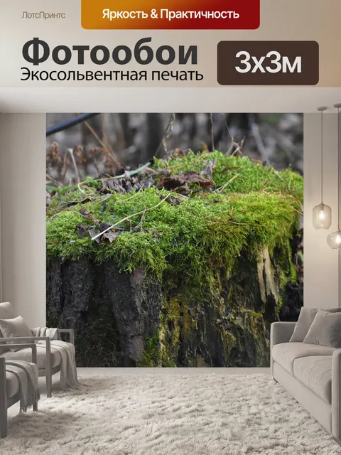 Фотообои Пень