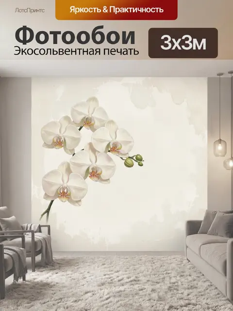 Фотообои Белые орхидеи на светлом фоне