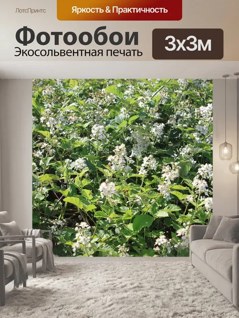 Фотообои Ягоды