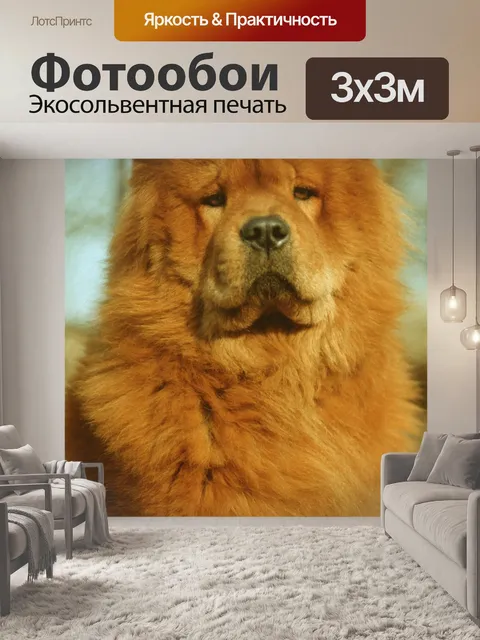 Фотообои Собака