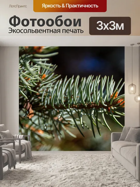 Фотообои Ель