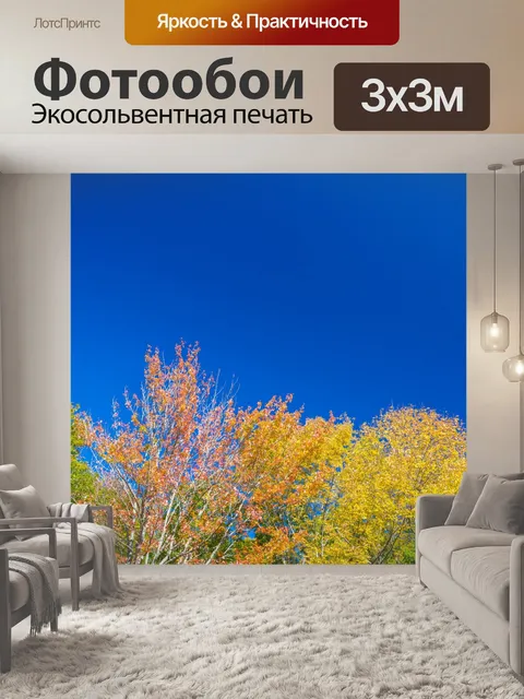 Фотообои Осенние деревья и голубое небо