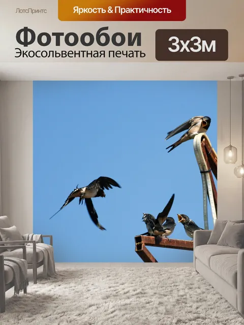 Фотообои Птицы