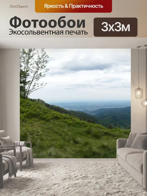 Фотообои Черный лес