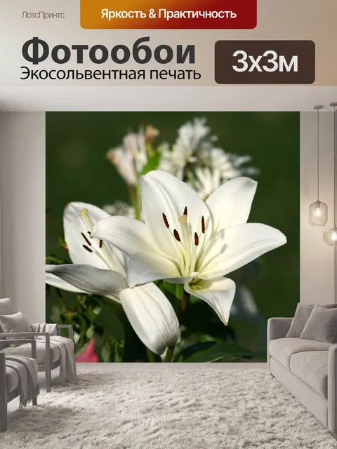 Фотообои Цветы
