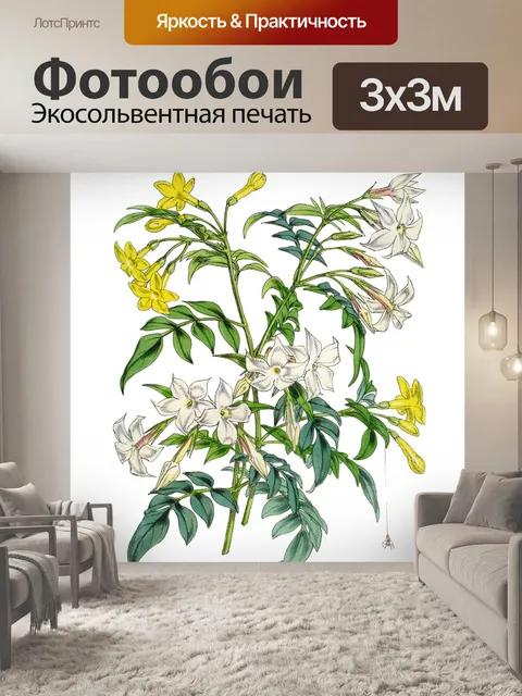 Фотообои Цветы клипарт графический рисунок