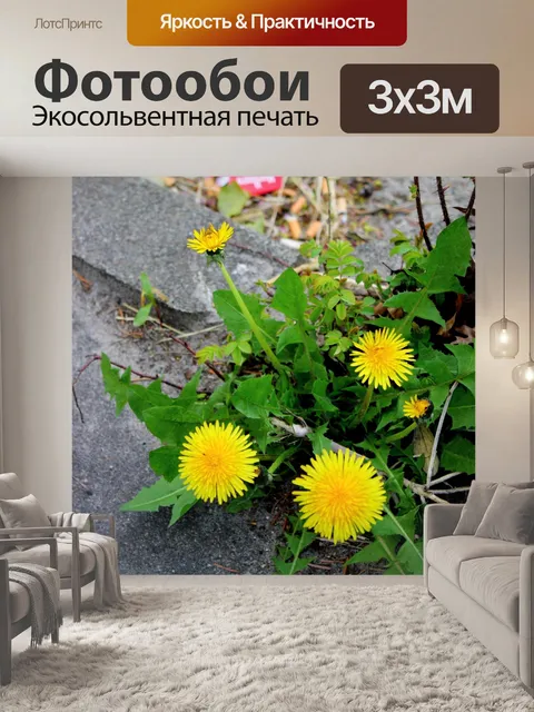 Фотообои Лютик желтый