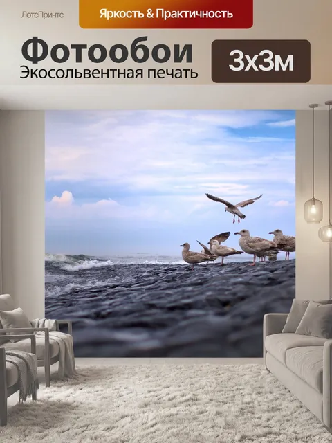 Фотообои Чайки