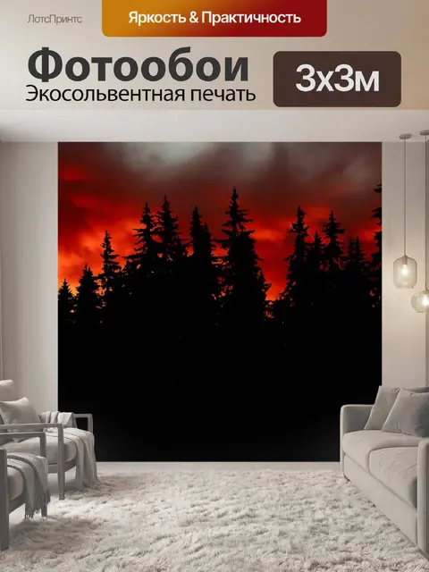 Фотообои Заход солнца