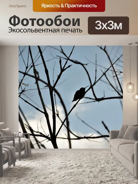 Фотообои Колибри