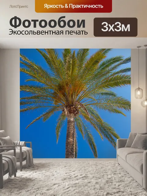 Фотообои Пальма и голубое небо