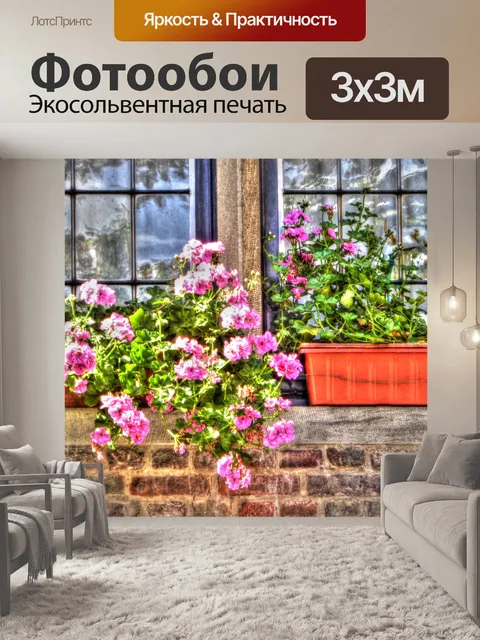 Фотообои Окна и цветы