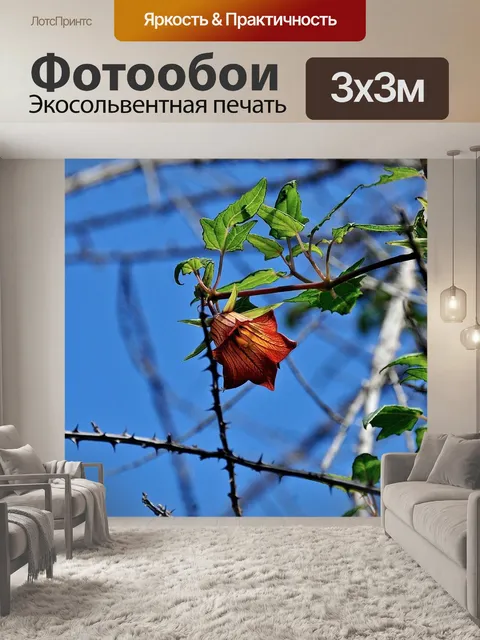 Фотообои Весна