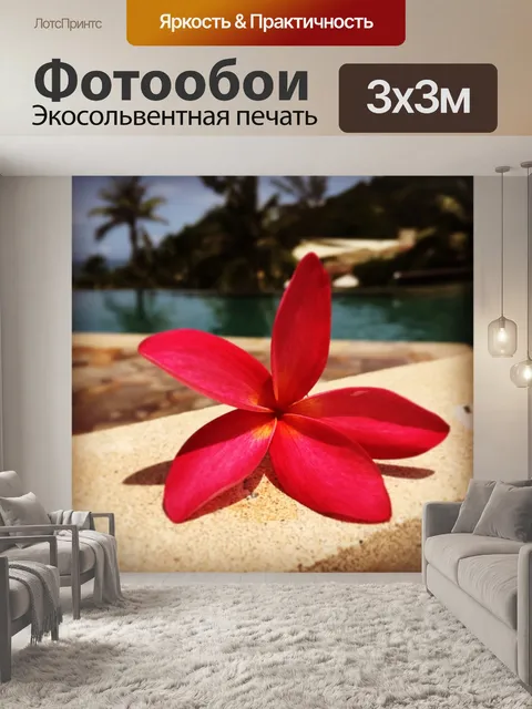 Фотообои Frangipani