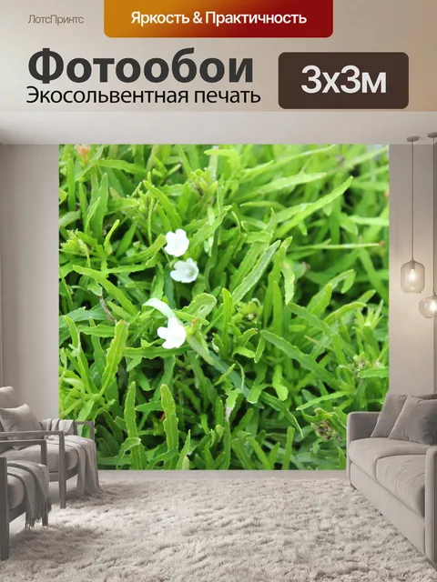 Фотообои Трава фон 2