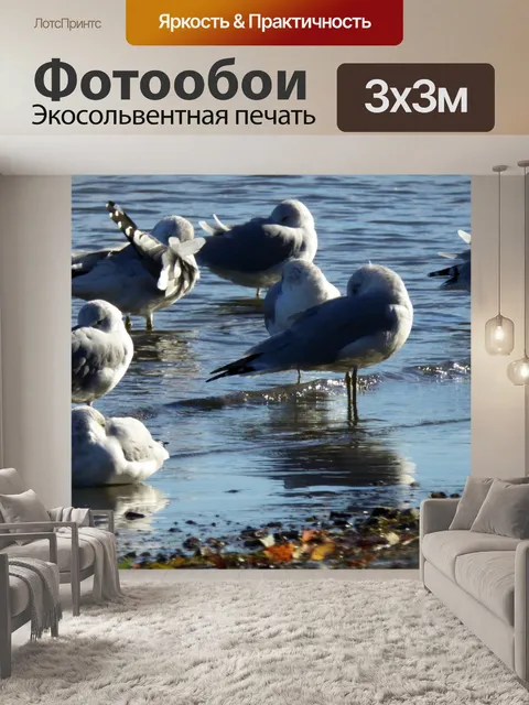 Фотообои чайки в озере