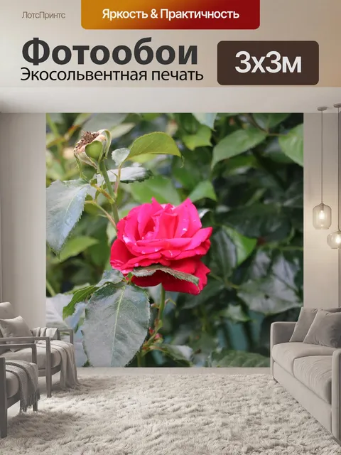 Фотообои Ботанический